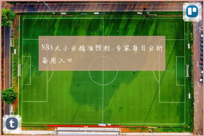 NBA大小分精准预测_专家每日分析备用入口