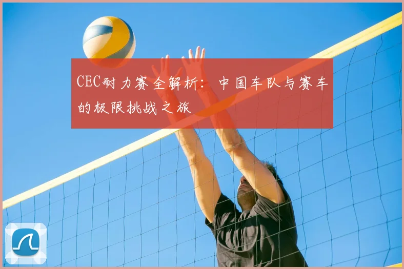 CEC耐力赛全解析：中国车队与赛车的极限挑战之旅